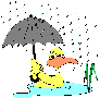3KB